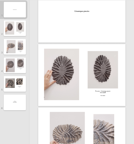 Catalogue céramiques pincées, 2025