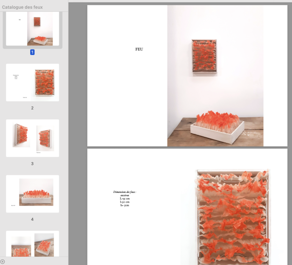 Catalogue Feux, 2025